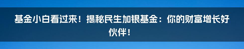 基金小白看过来!揭秘民生加银基金:你的财富增长好伙伴!