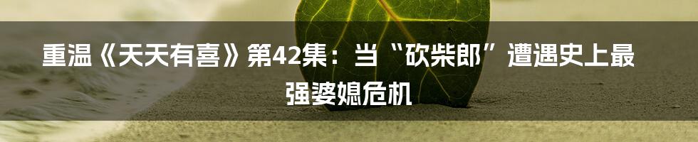 重温《天天有喜》第42集:当“砍柴郎”遭遇史上最强婆媳危机