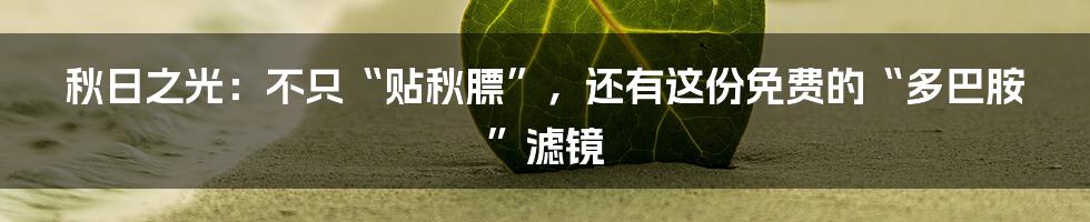 秋日之光:不只“贴秋膘”,还有这份免费的“多巴胺”滤镜