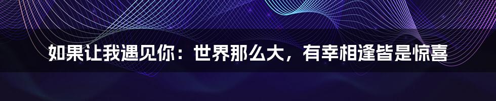 如果让我遇见你:世界那么大,有幸相逢皆是惊喜