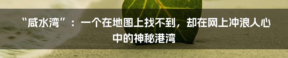 “咸水湾”:一个在地图上找不到,却在网上冲浪人心中的神秘港湾