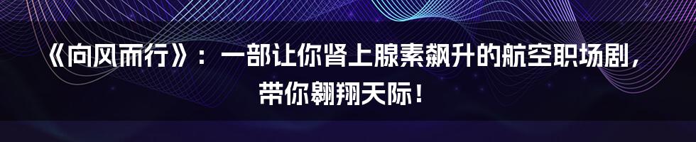 《向风而行》:一部让你肾上腺素飙升的航空职场剧,带你翱翔天际!