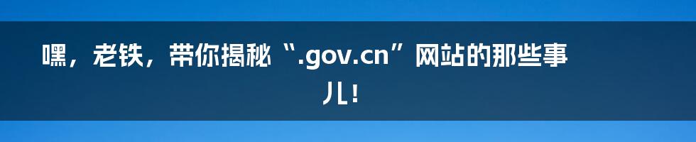 嘿,老铁,带你揭秘“.gov.cn”网站的那些事儿!