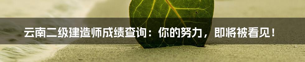 云南二级建造师成绩查询：你的努力，即将被看见！