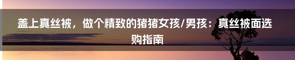 盖上真丝被，做个精致的猪猪女孩/男孩：真丝被面选购指南