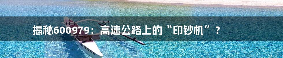 揭秘600979：高速公路上的“印钞机”？