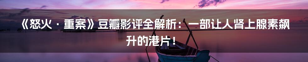 《怒火·重案》豆瓣影评全解析：一部让人肾上腺素飙升的港片！