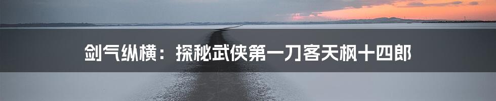 剑气纵横：探秘武侠第一刀客天枫十四郎