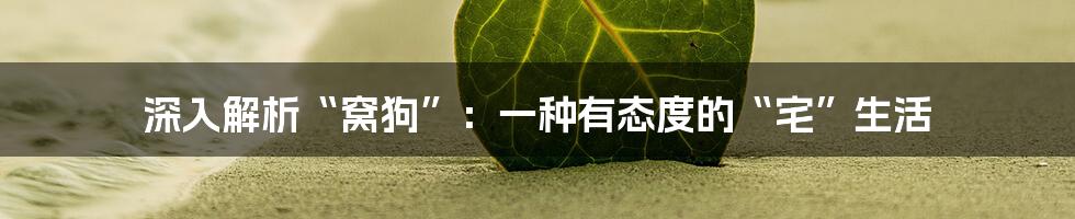 深入解析“窝狗”:一种有态度的“宅”生活