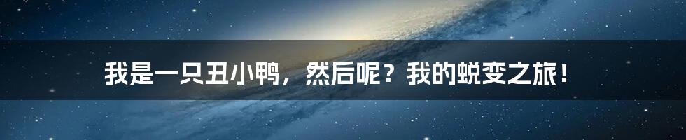 我是一只丑小鸭,然后呢?我的蜕变之旅!