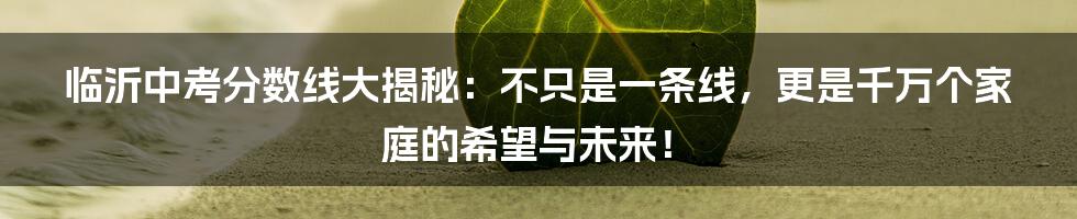临沂中考分数线大揭秘:不只是一条线,更是千万个家庭的希望与未来!