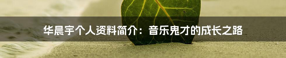 华晨宇个人资料简介:音乐鬼才的成长之路