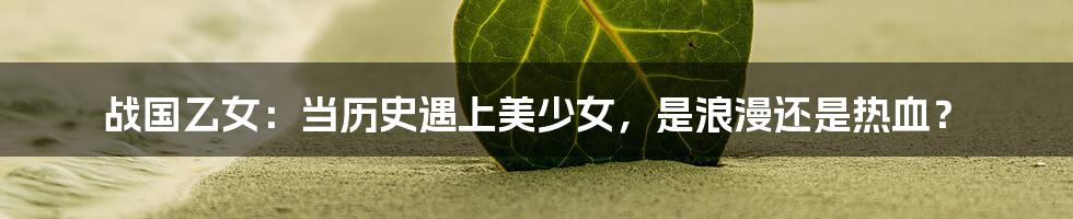 战国乙女:当历史遇上美少女,是浪漫还是热血?