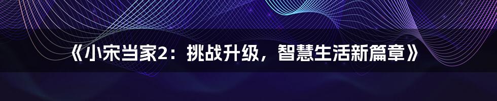 《小宋当家2：挑战升级，智慧生活新篇章》
