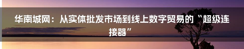 华南城网:从实体批发市场到线上数字贸易的“超级连接器”