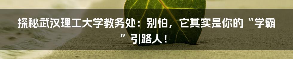 探秘武汉理工大学教务处:别怕,它其实是你的“学霸”引路人!