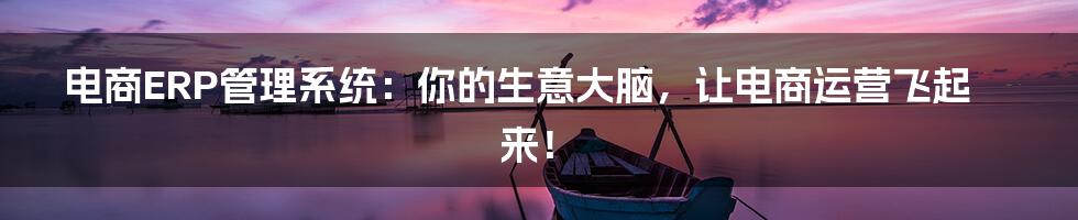 电商ERP管理系统:你的生意大脑,让电商运营飞起来!