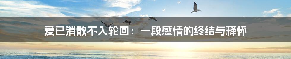 爱已消散不入轮回：一段感情的终结与释怀