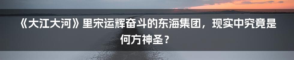 《大江大河》里宋运辉奋斗的东海集团,现实中究竟是何方神圣?