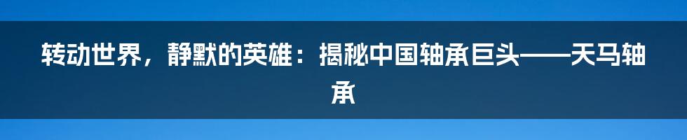 转动世界,静默的英雄:揭秘中国轴承巨头——天马轴承