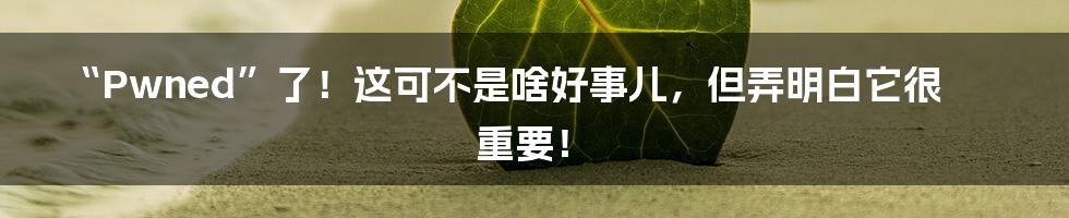 “Pwned”了!这可不是啥好事儿,但弄明白它很重要!