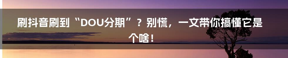 刷抖音刷到“DOU分期”?别慌,一文带你搞懂它是个啥!
