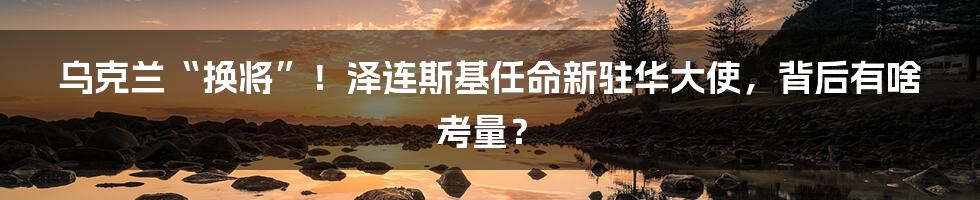 乌克兰“换将”！泽连斯基任命新驻华大使，背后有啥考量？