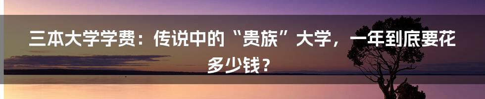 三本大学学费：传说中的“贵族”大学，一年到底要花多少钱？