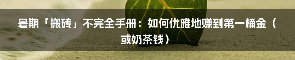 暑期「搬砖」不完全手册:如何优雅地赚到第一桶金(或奶茶钱)