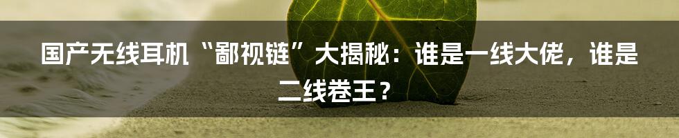 国产无线耳机“鄙视链”大揭秘:谁是一线大佬,谁是二线卷王?