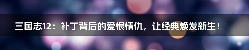 三国志12:补丁背后的爱恨情仇,让经典焕发新生!