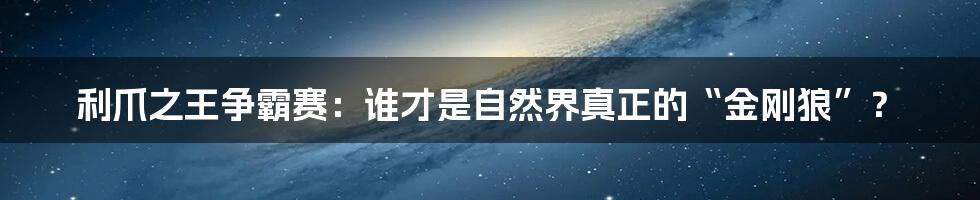 利爪之王争霸赛:谁才是自然界真正的“金刚狼”?