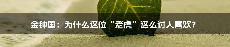 金钟国：为什么这位“老虎”这么讨人喜欢？