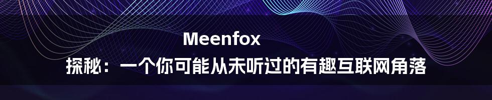 Meenfox 探秘:一个你可能从未听过的有趣互联网角落