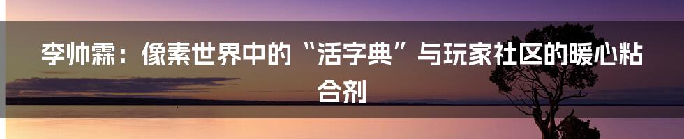 李帅霖:像素世界中的“活字典”与玩家社区的暖心粘合剂