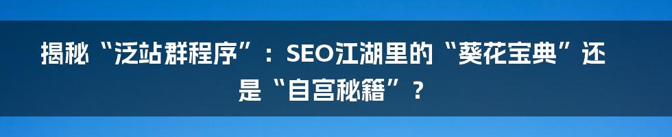 揭秘“泛站群程序”:SEO江湖里的“葵花宝典”还是“自宫秘籍”?