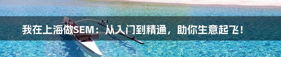 我在上海做SEM:从入门到精通,助你生意起飞!
