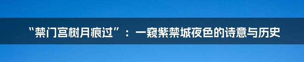 “禁门宫树月痕过”：一窥紫禁城夜色的诗意与历史