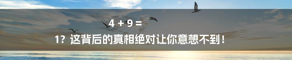 4 + 9 = 1？这背后的真相绝对让你意想不到！