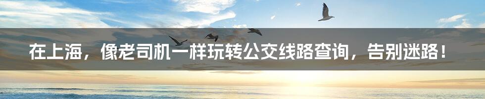 在上海,像老司机一样玩转公交线路查询,告别迷路!