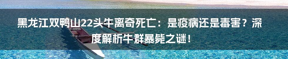 黑龙江双鸭山22头牛离奇死亡:是疫病还是毒害?深度解析牛群暴毙之谜!
