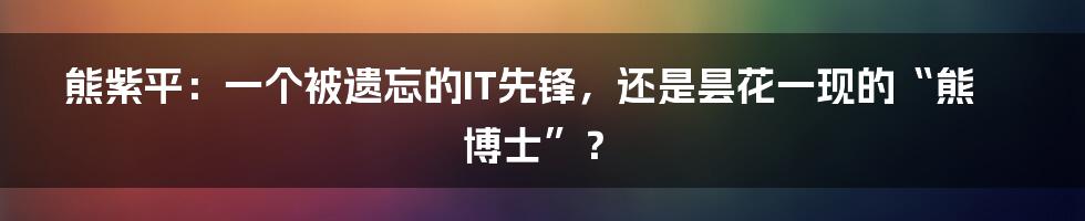 熊紫平:一个被遗忘的IT先锋,还是昙花一现的“熊博士”?