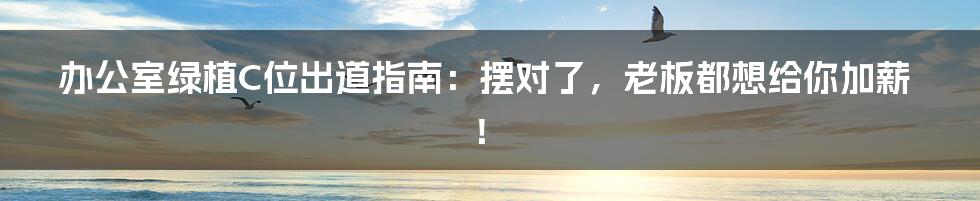 办公室绿植C位出道指南:摆对了,老板都想给你加薪!