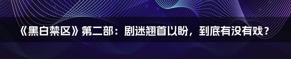 《黑白禁区》第二部:剧迷翘首以盼,到底有没有戏?