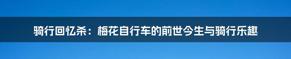 骑行回忆杀：梅花自行车的前世今生与骑行乐趣