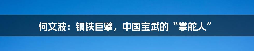 何文波:钢铁巨擘,中国宝武的“掌舵人”
