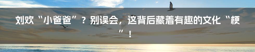 刘欢“小爸爸”？别误会，这背后藏着有趣的文化“梗”！