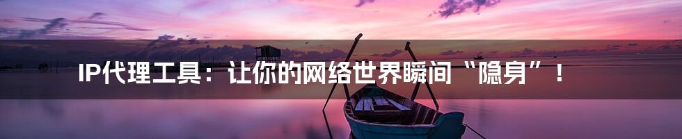 IP代理工具:让你的网络世界瞬间“隐身”!