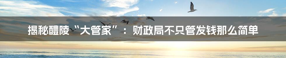 揭秘醴陵“大管家”：财政局不只管发钱那么简单
