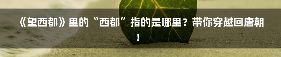 《望西都》里的“西都”指的是哪里？带你穿越回唐朝！